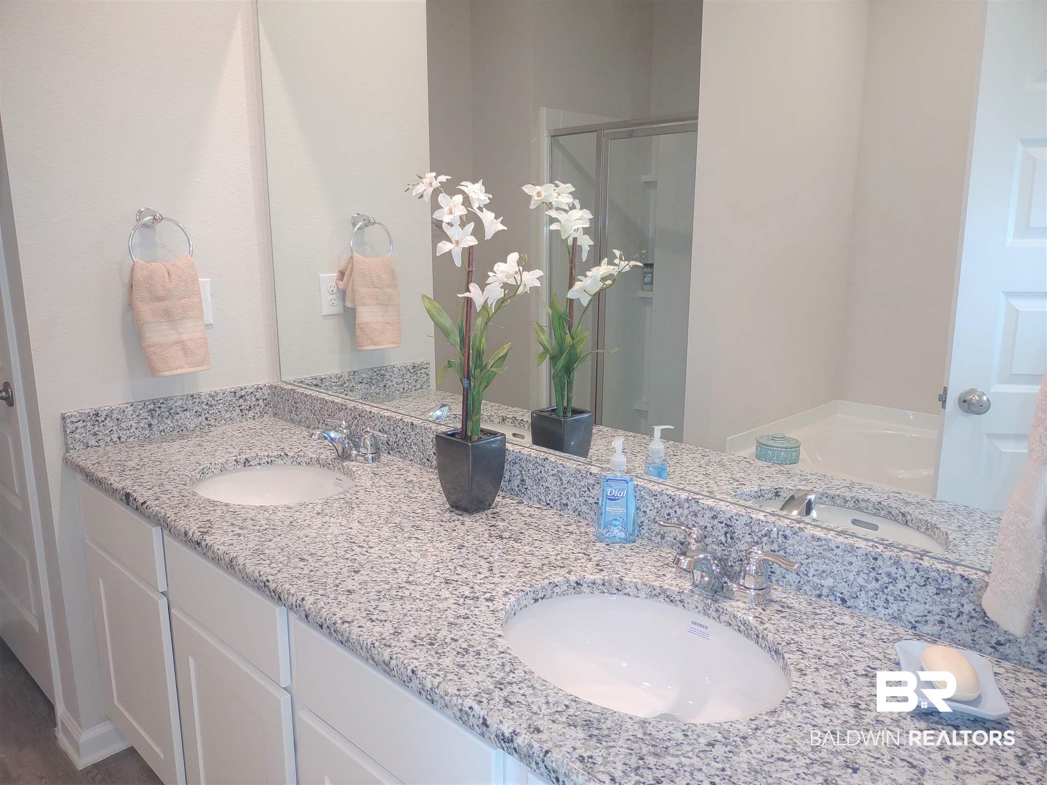 23988 Veranda Circle Elberta, AL 36530 - Photo 8 of 8 Master bath
