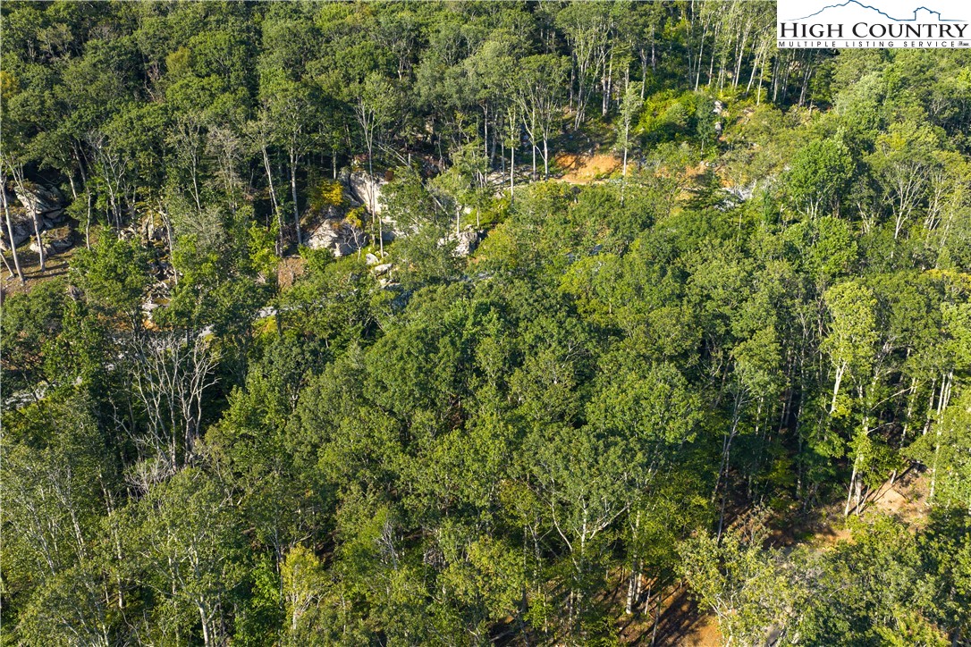 C52 Firefly Cove Banner Elk, NC 28604 - Photo 15 of 19 a view of a lush green forest