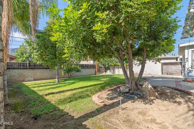 a view of a backyard with a tree
