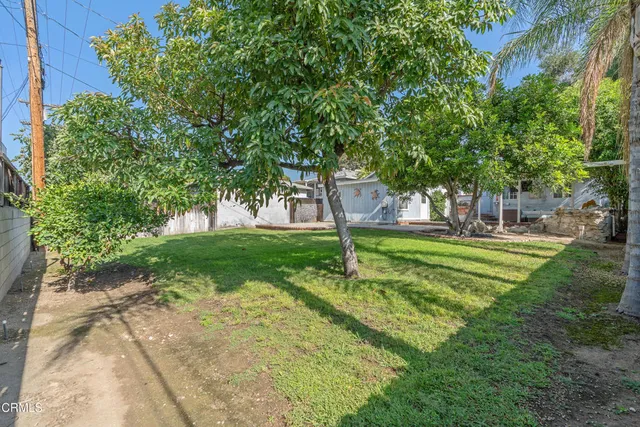 a view of a tree in a park