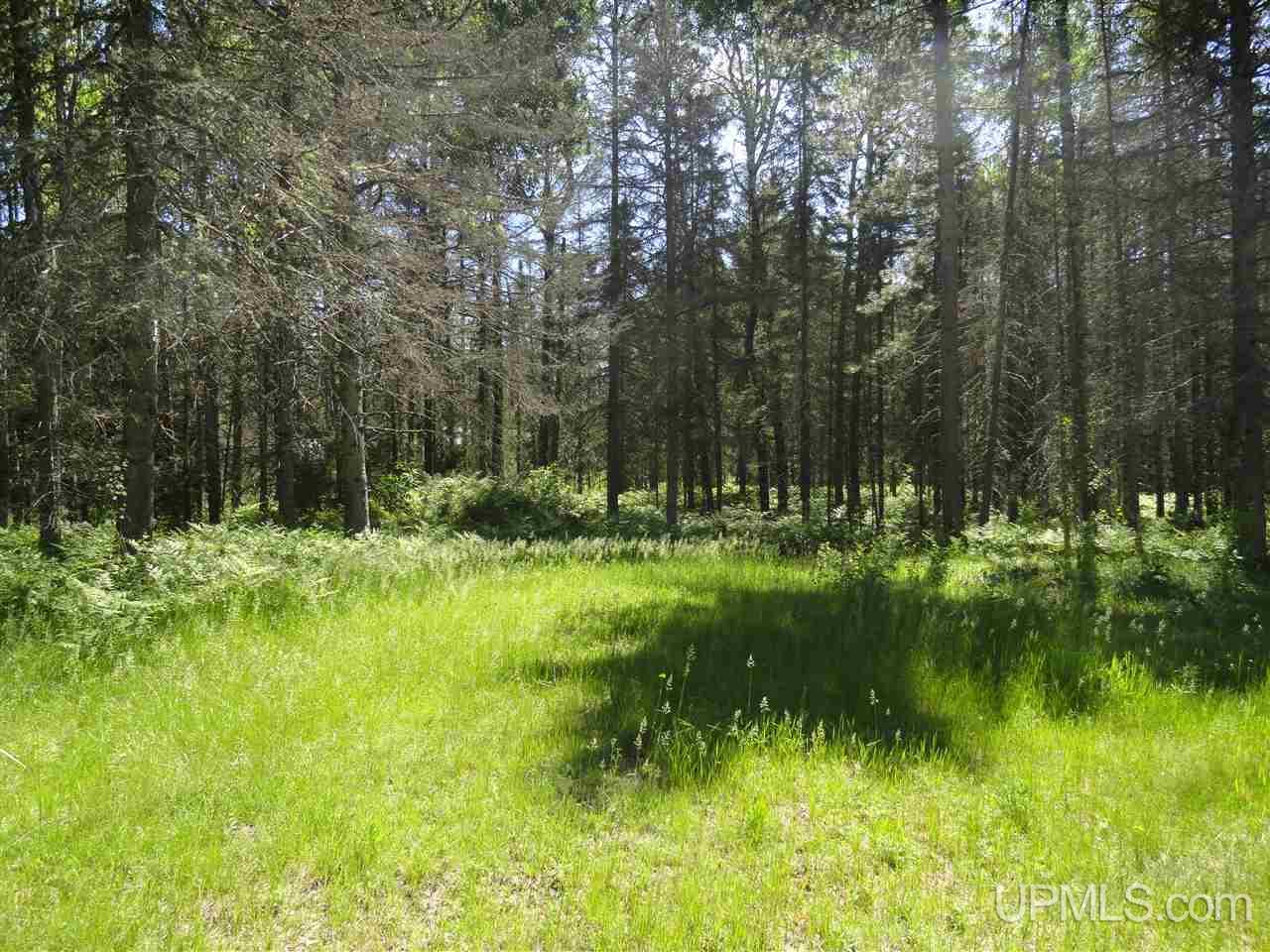 11 Co Road Felch, MI 49831 - Photo 31 of 36