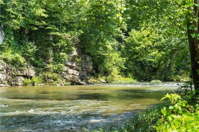 a view of a yard with trees