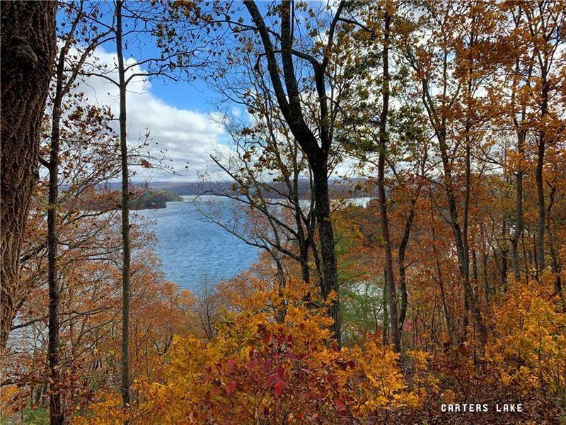 1405 Foxhound Trail Northeast Ranger, GA 30734 - Photo 22 of 48 a view of a yard with trees