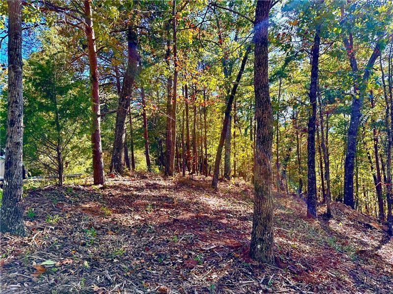 1405 Foxhound Trail Northeast Ranger, GA 30734 - Photo 3 of 48 a view of a forest with trees