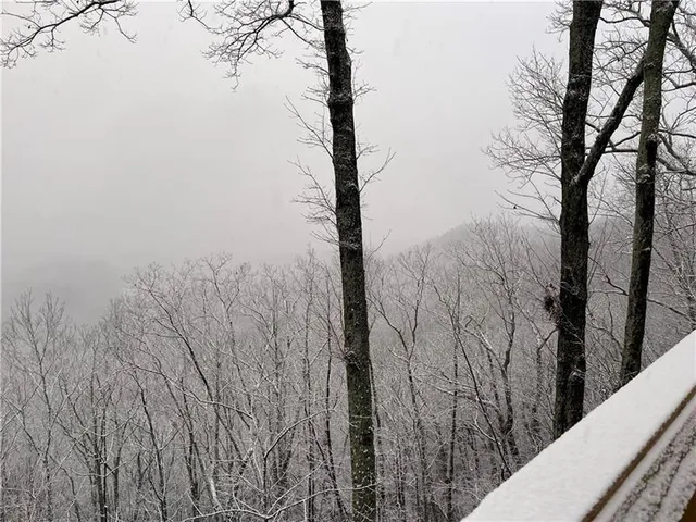 a view of a yard with an ocean