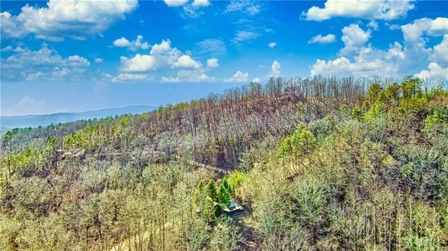 a view of mountain and tree