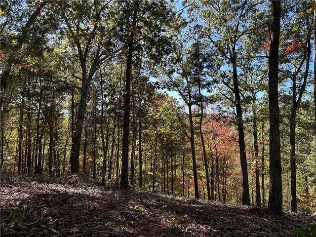 a view of outdoor space and yard