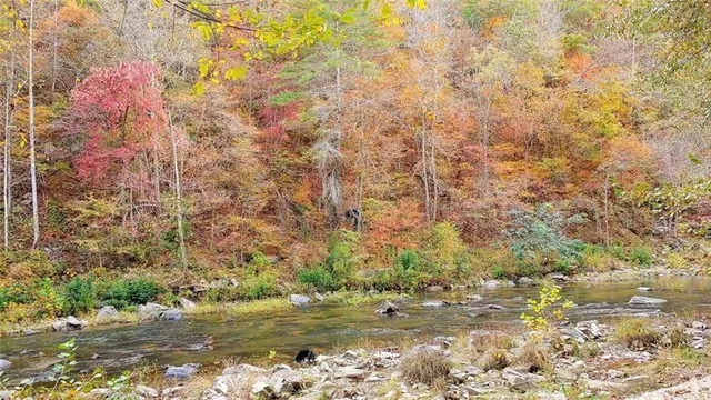 a view of a house with yard and a garden