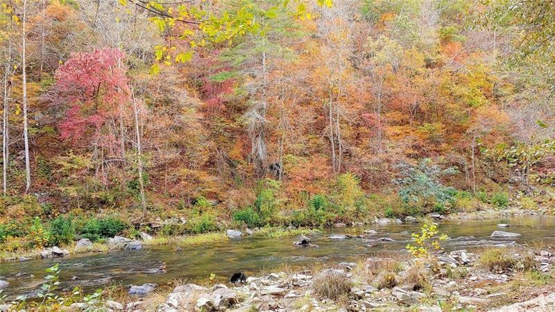 1405 Foxhound Trail Northeast Ranger, GA 30734 - Photo 7 of 48