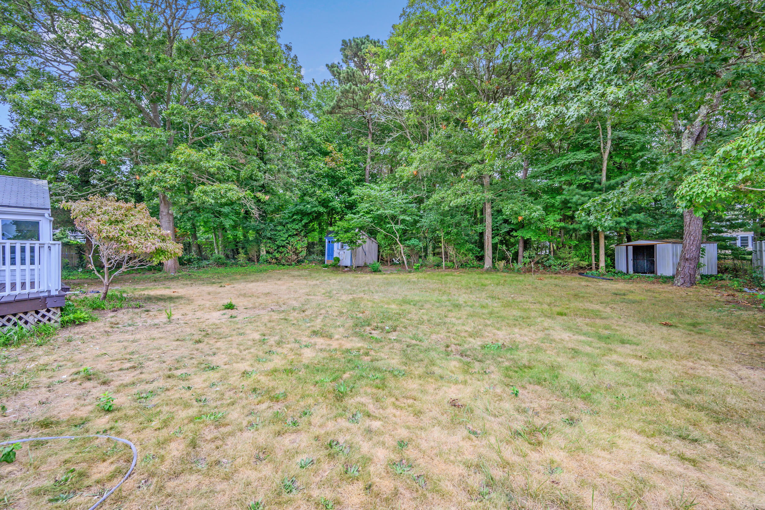 296 Buckskin Path Centerville, MA 02632 - Photo 24 of 34 a view of a backyard with a tree