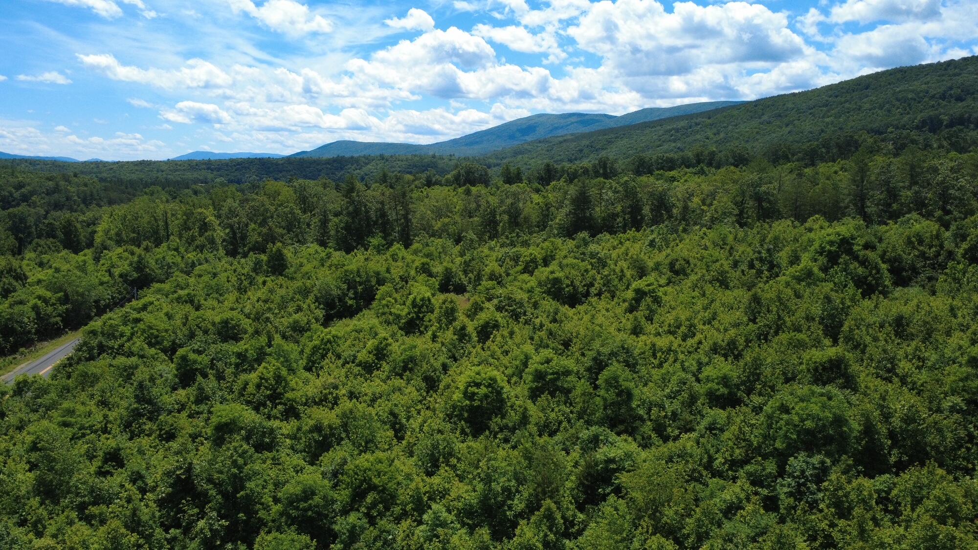 0 Craig Creek Road Eagle Rock, VA 24085 - Photo 25 of 25 a view of a green field with lots of bushes