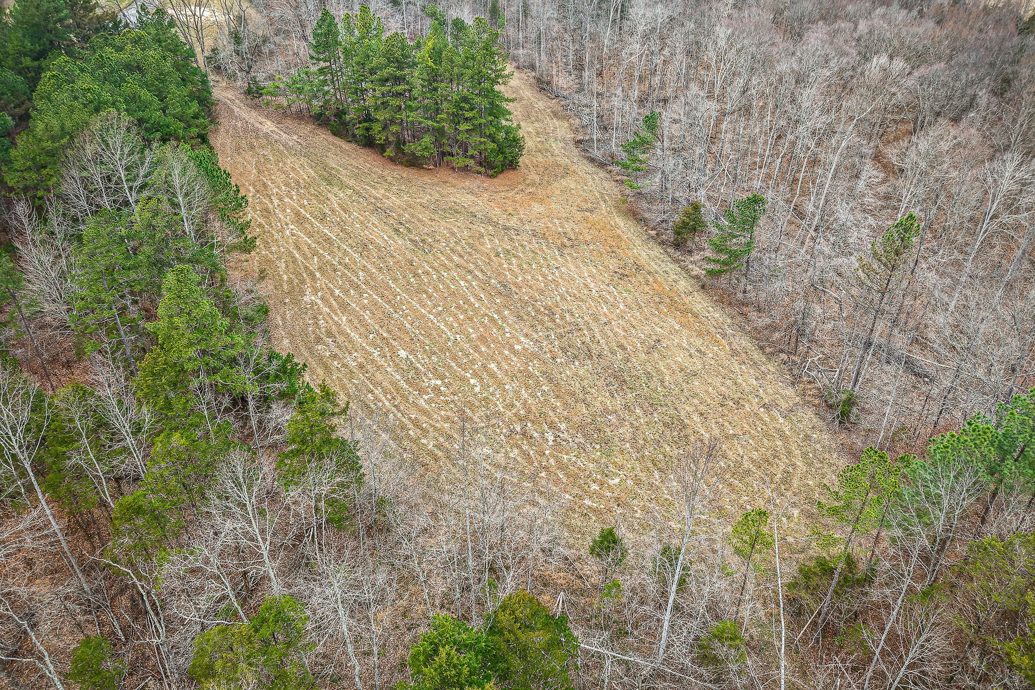 4 Johnson Chapel Road Sparta, TN 38583 - Photo 6 of 15