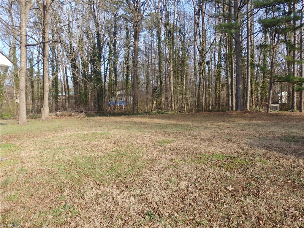 410 Spring Street Denton, NC 27239 - Photo 6 of 16 Gallery Image 6