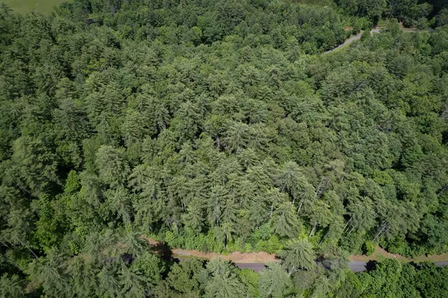 $27,500 | Lot 11 Bear Cove, Hayesville, NC 28904