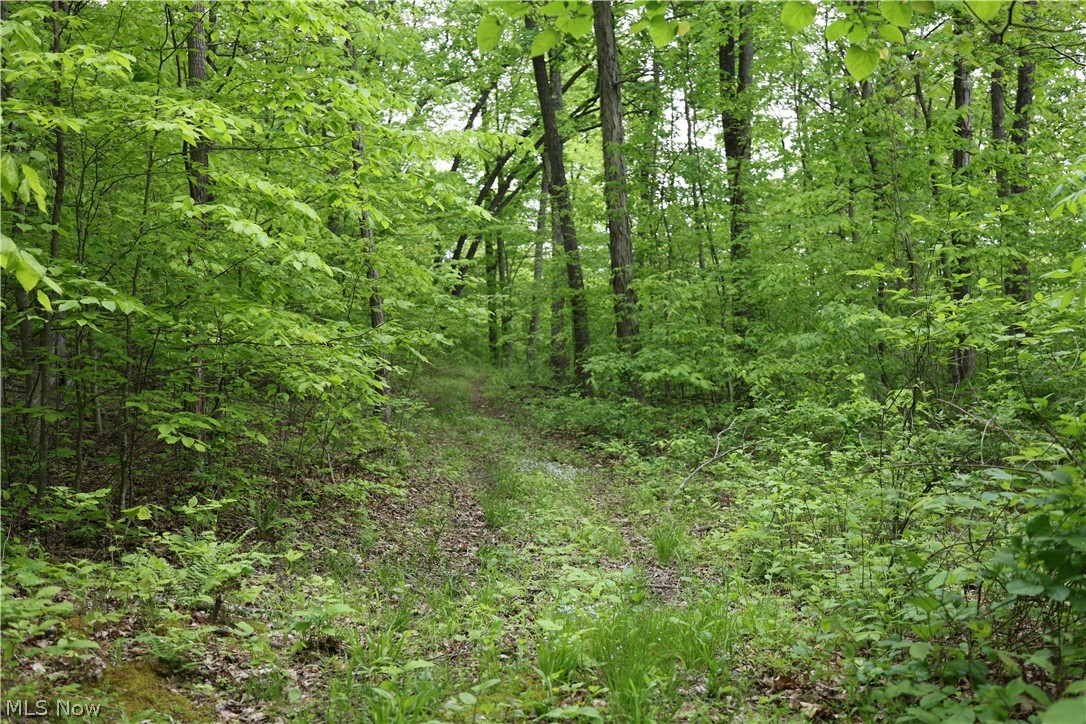 61342 High Hill Road Cambridge, OH 43725 - Photo 19 of 37