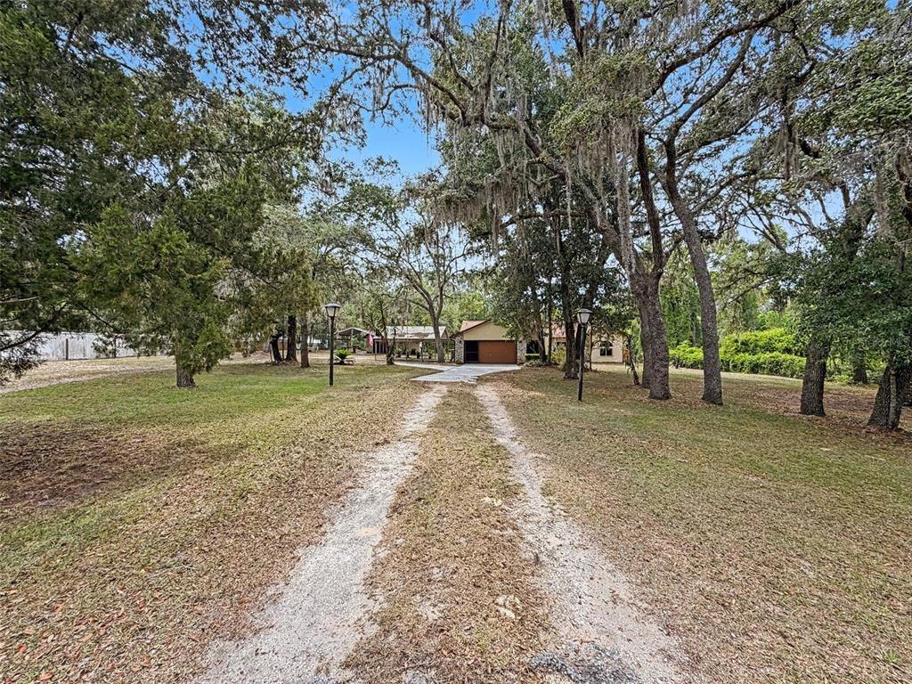 7111 Ricker Avenue Webster, FL 33597 - Photo 3 of 41 a view of park with tree s