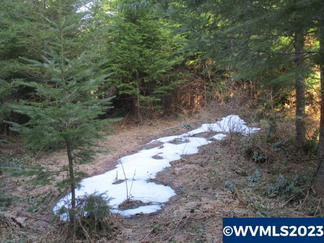 0 Southeast Harvey Road Sandy, OR 97055 - Photo 10 of 11