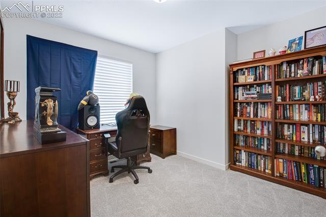 9654 Timberlake Loop Colorado Springs, CO 80927 - Photo 20 of 32 Gallery Image 20
