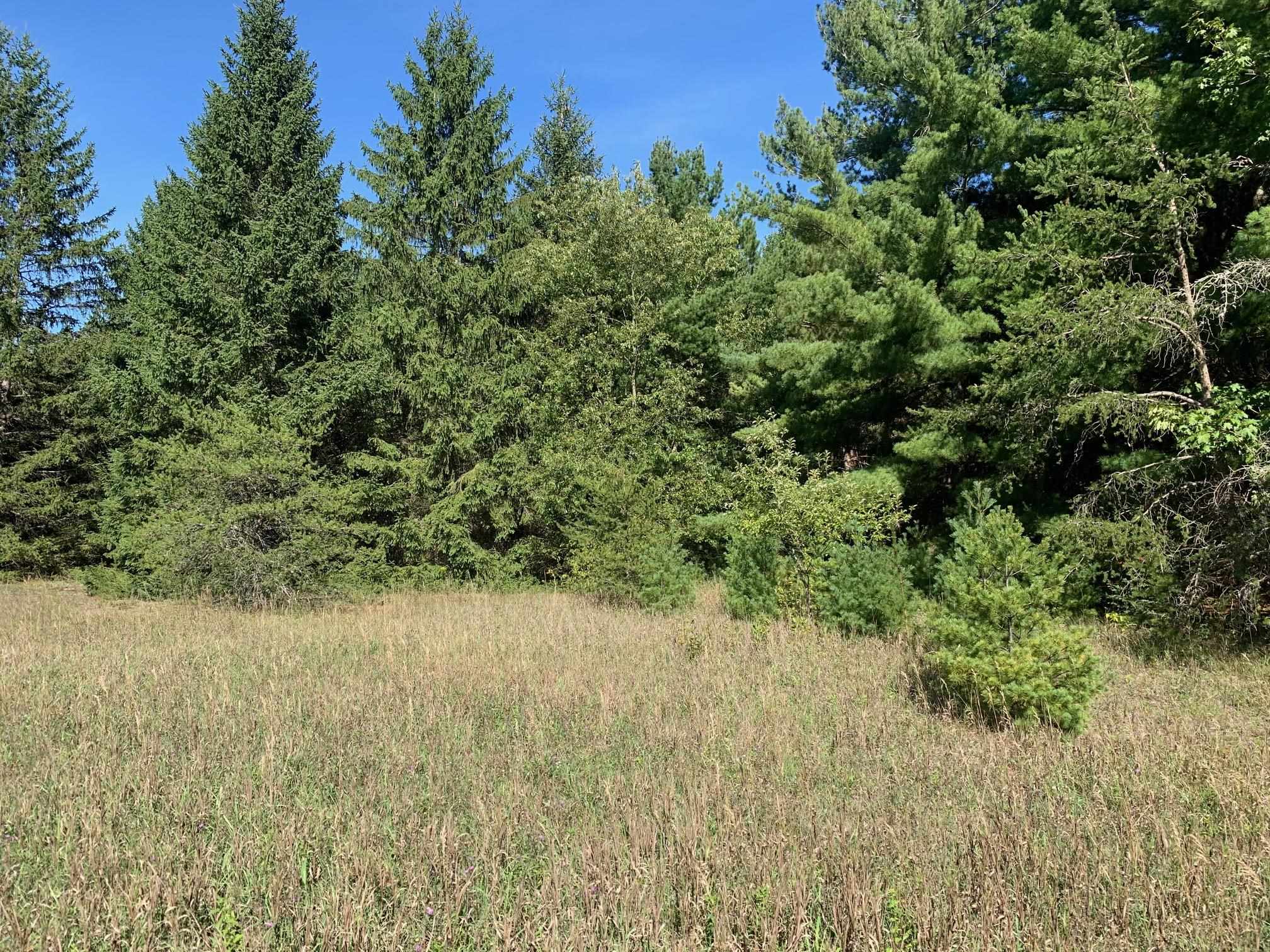 0 South Maple City Road Traverse City, MI 49684 - Photo 18 of 22