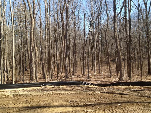 166 Mill Road Littleton, MA 01460 - Photo 13 of 18 Gallery Image 13