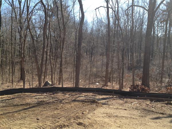 166 Mill Road Littleton, MA 01460 - Photo 14 of 18 Gallery Image 14