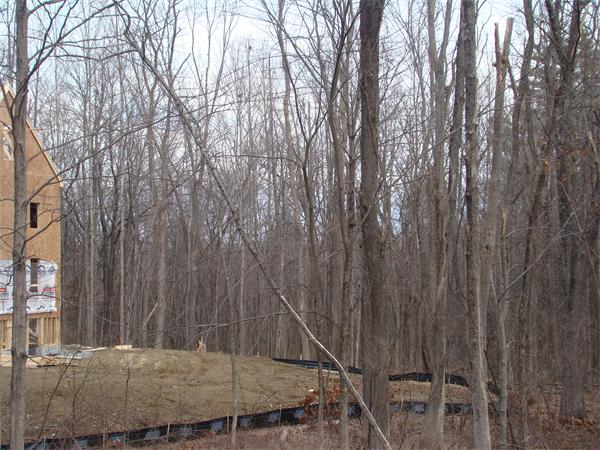 166 Mill Road Littleton, MA 01460 - Photo 8 of 18 Gallery Image 8
