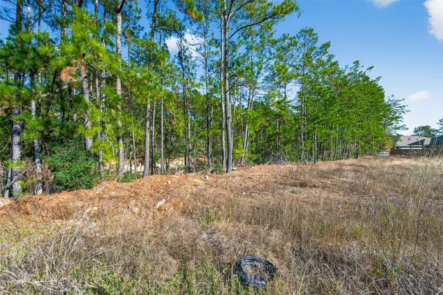 $1,650 | 2320 Cedar Place Drive, Conroe, TX 77306