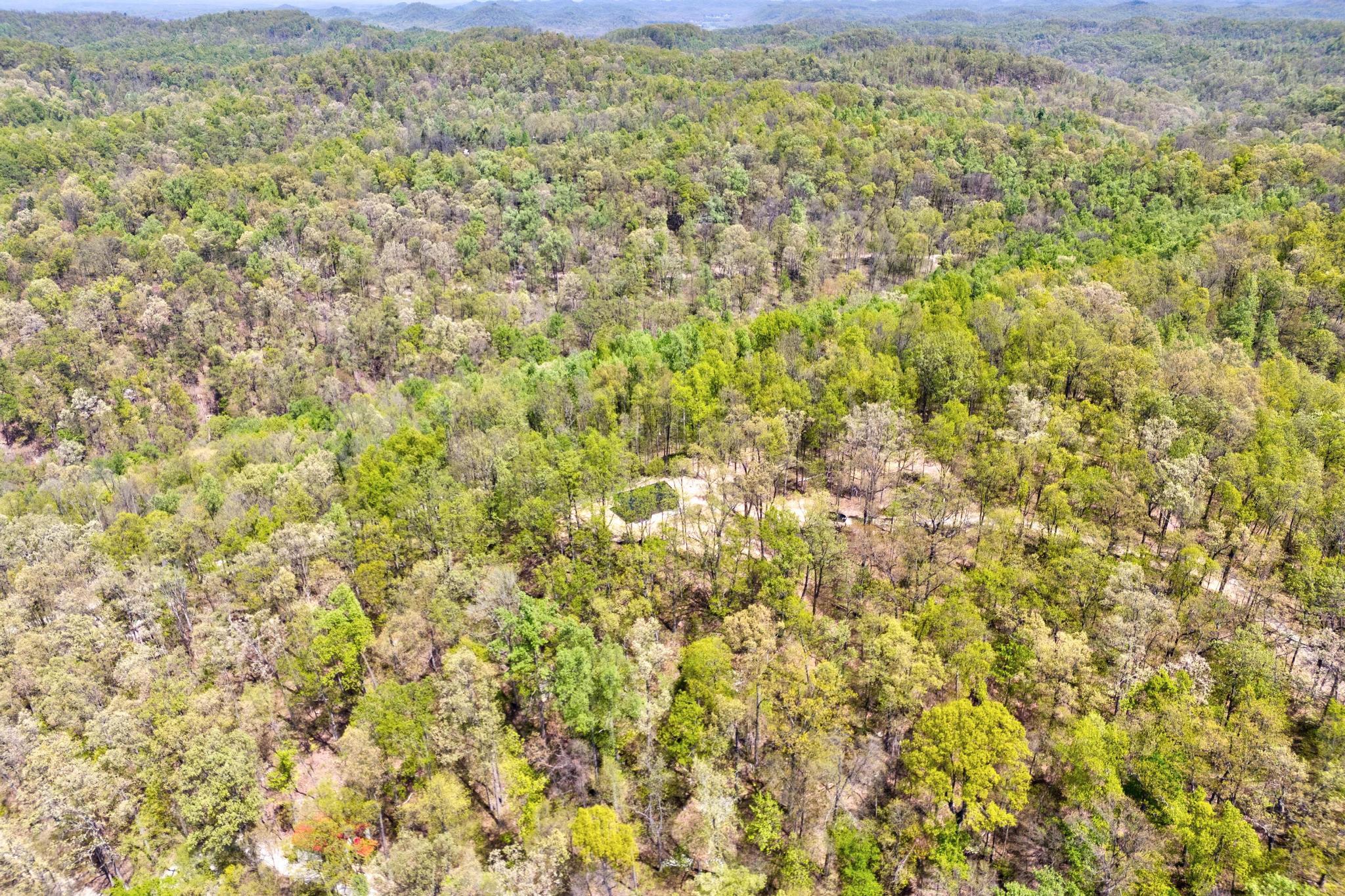 150 Red River Road Jeffersonville, KY 40337 - Photo 19 of 39 dji_fly_20240423_132356_0011_17138942263