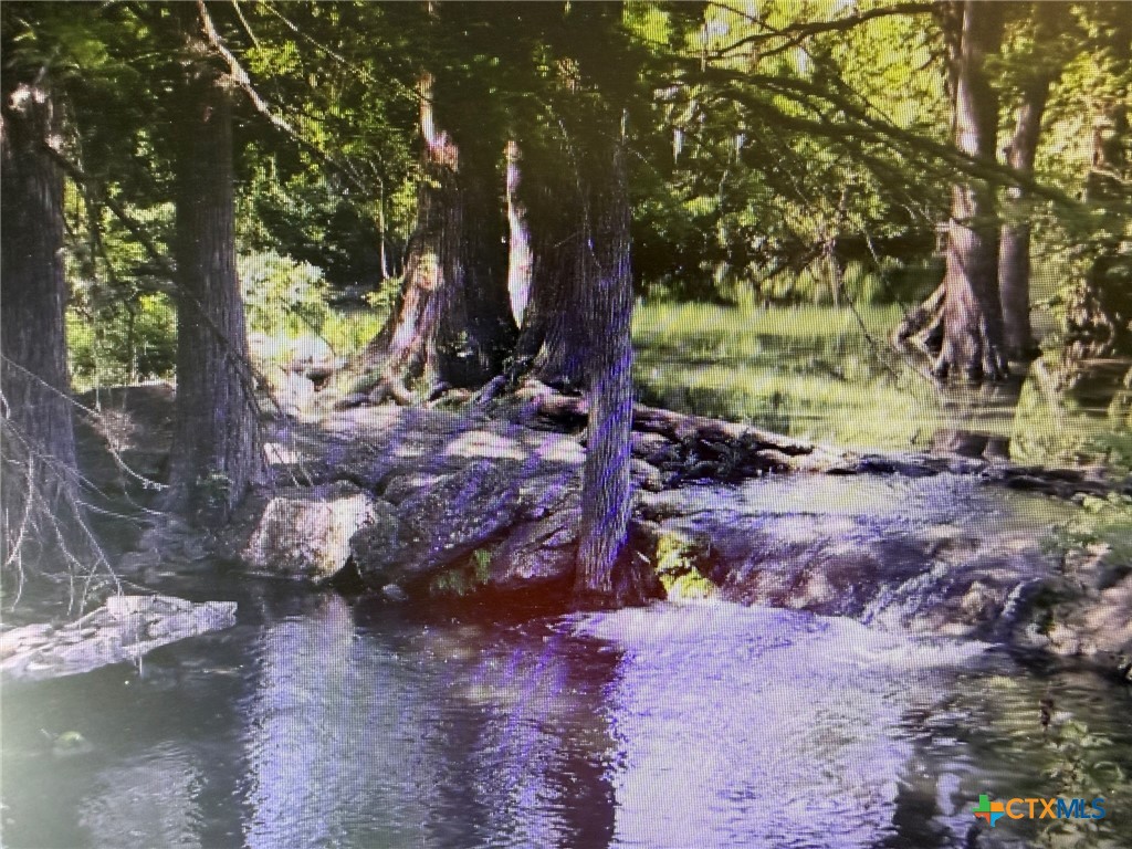 1724 Cave Drive Spring Branch, TX 78070 - Photo 13 of 15