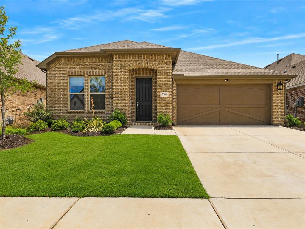 3705 Prickly Pear Road Little Elm, TX 75068 - Photo 2 of 33