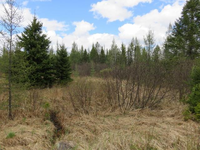 On Gagen Road, Unit 81 ACRS Rhinelander, WI 54501 - Photo 6 of 7 Gallery Image 6
