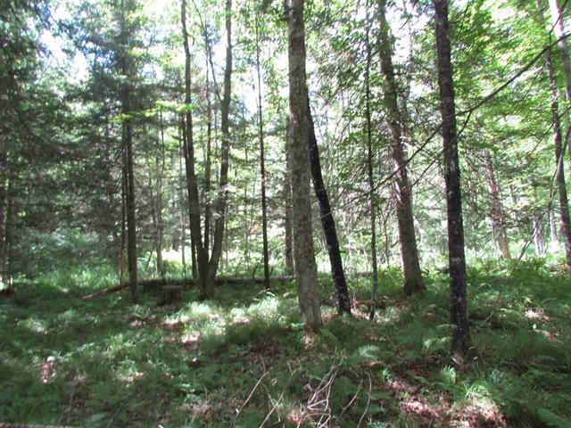 Tbd Paint River Road, Unit LOT 7 Crystal Falls, MI 49920 - Photo 3 of 4 Gallery Image 3