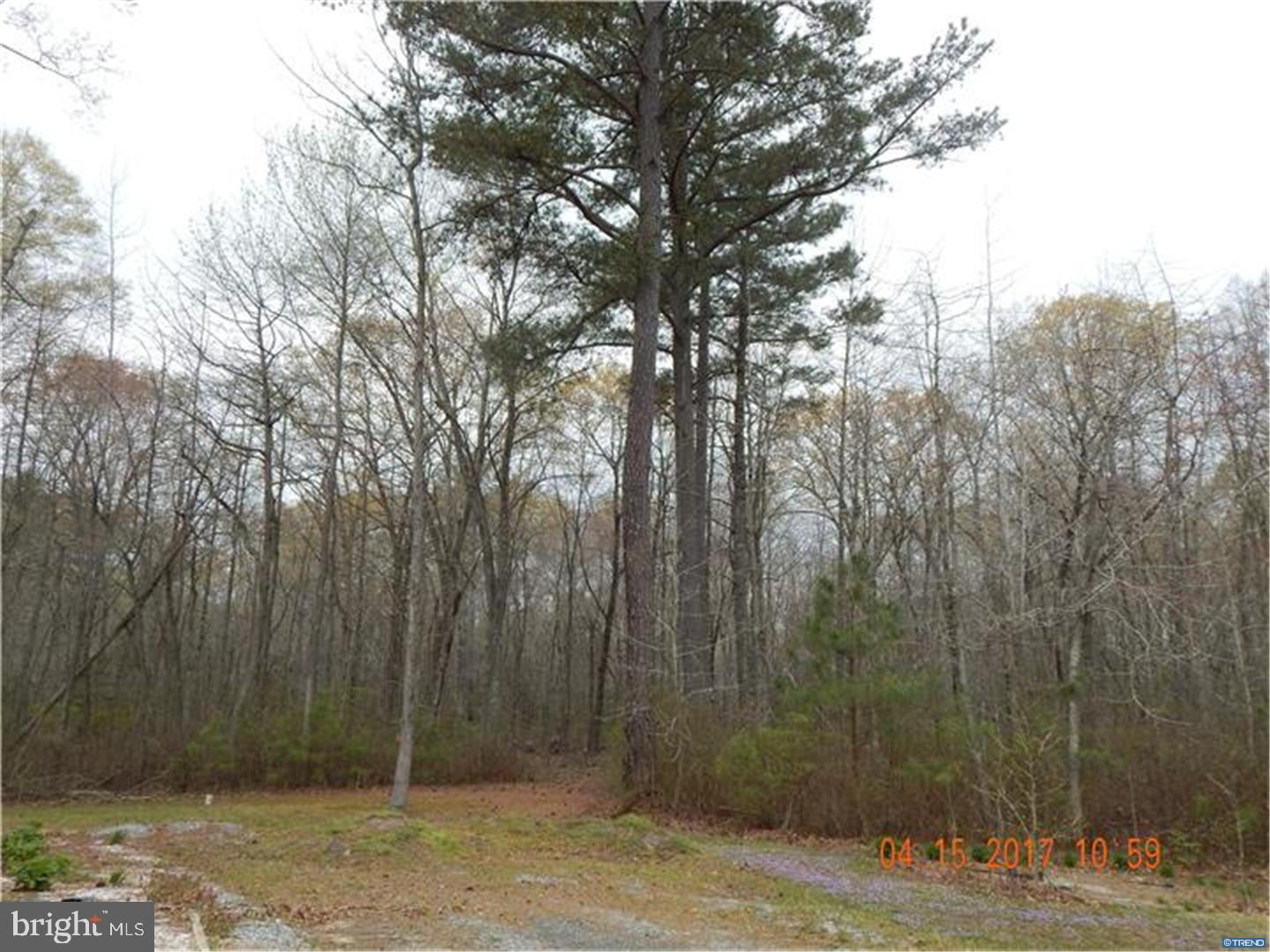 1325 Shady Bridge Road Marydel, DE 19964 - Photo 15 of 15 Gallery Image 15