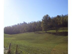 Tba Boyd Road Bristol, TN 37620 - Photo 5 of 6 Photo 7