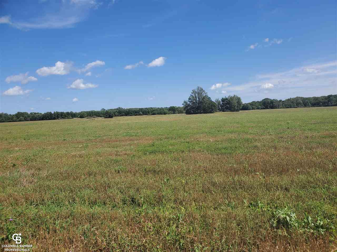 Brockway Road Yale, MI 48097 - Photo 4 of 9
