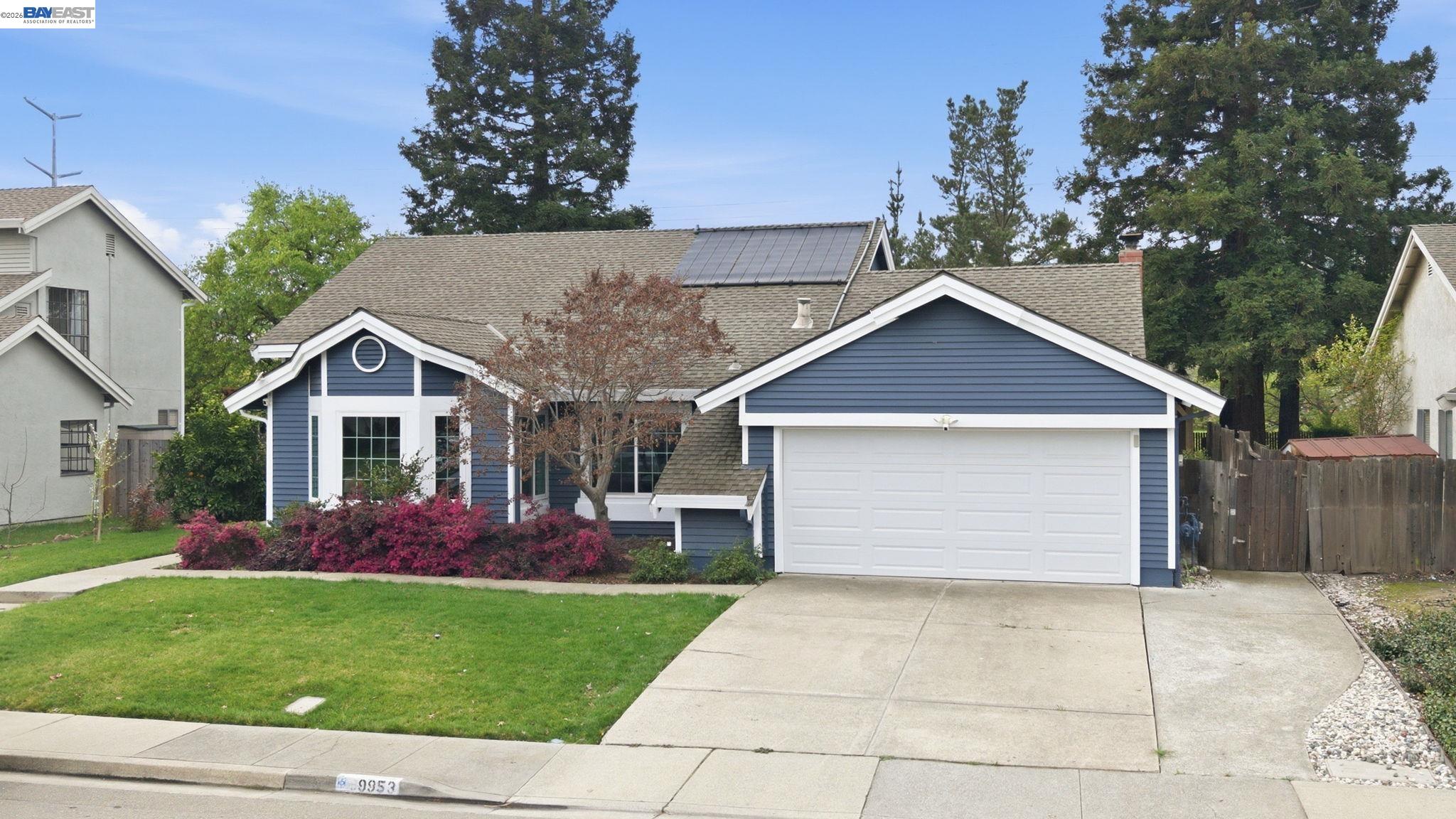 9953 Mangos Drive San Ramon, CA 94583 - Photo 41 of 55