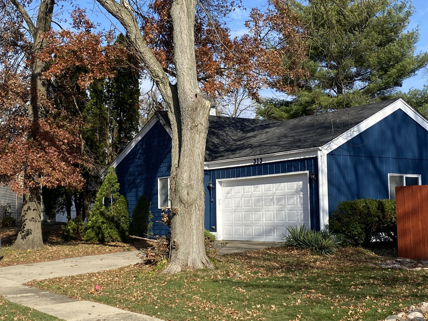 313 South Hawthorne Street Elgin, IL 60123 - Photo 1 of 22 a view of a house with a yard