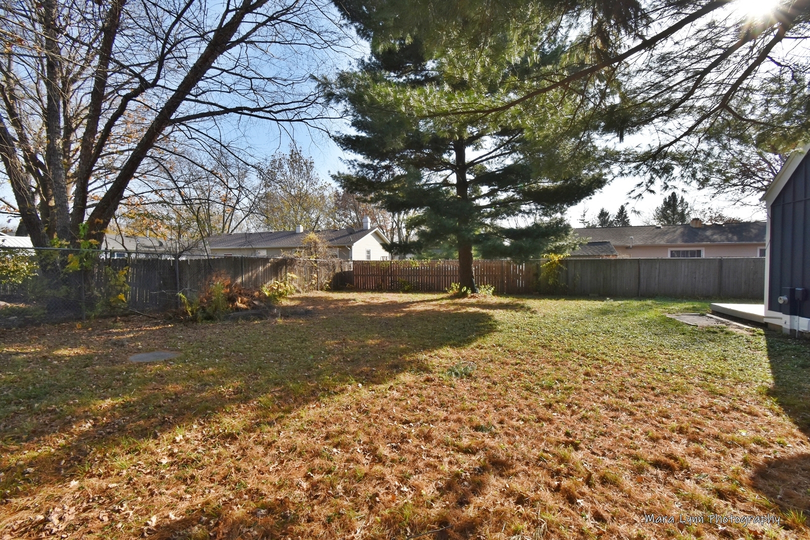 313 South Hawthorne Street Elgin, IL 60123 - Photo 12 of 22 a view of yard with tree in back