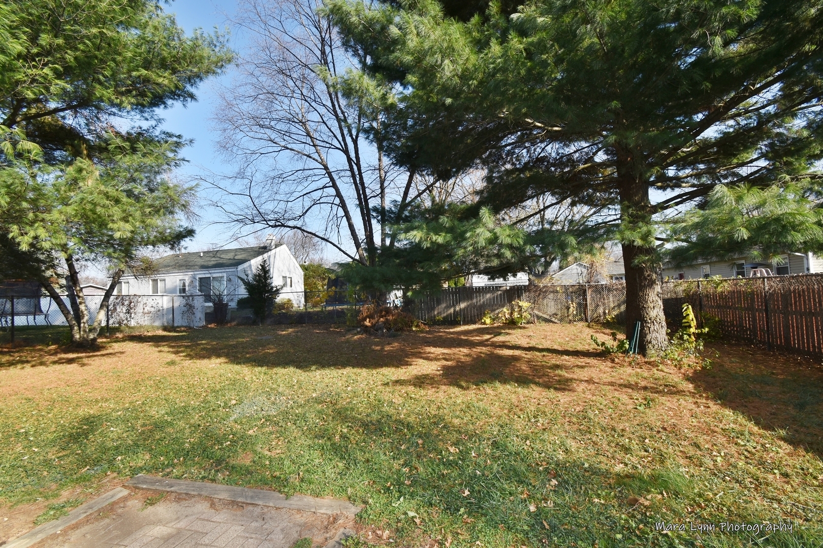 313 South Hawthorne Street Elgin, IL 60123 - Photo 13 of 22 a view of a yard with a tree