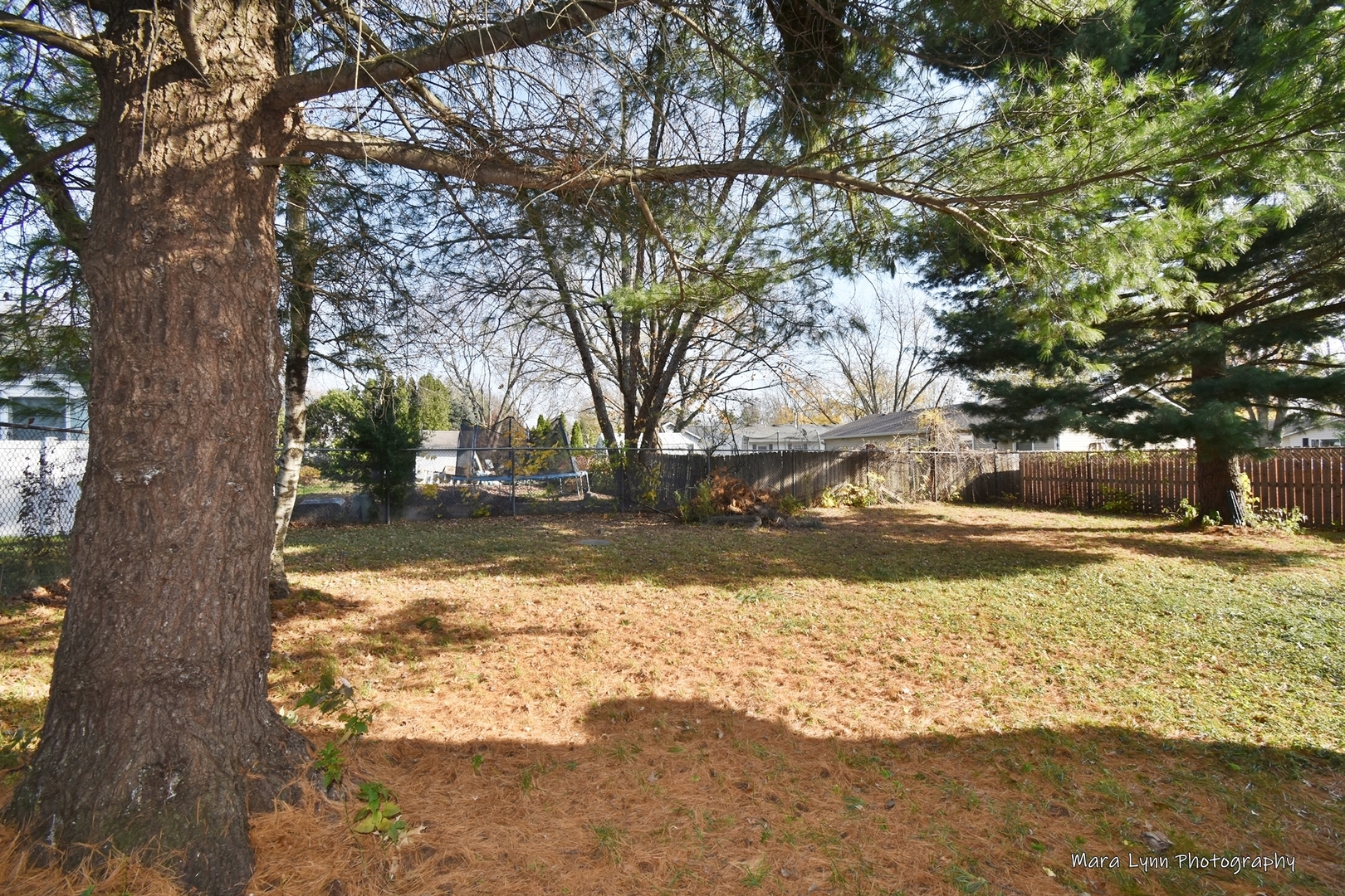 313 South Hawthorne Street Elgin, IL 60123 - Photo 21 of 22 a view of snow in a yard