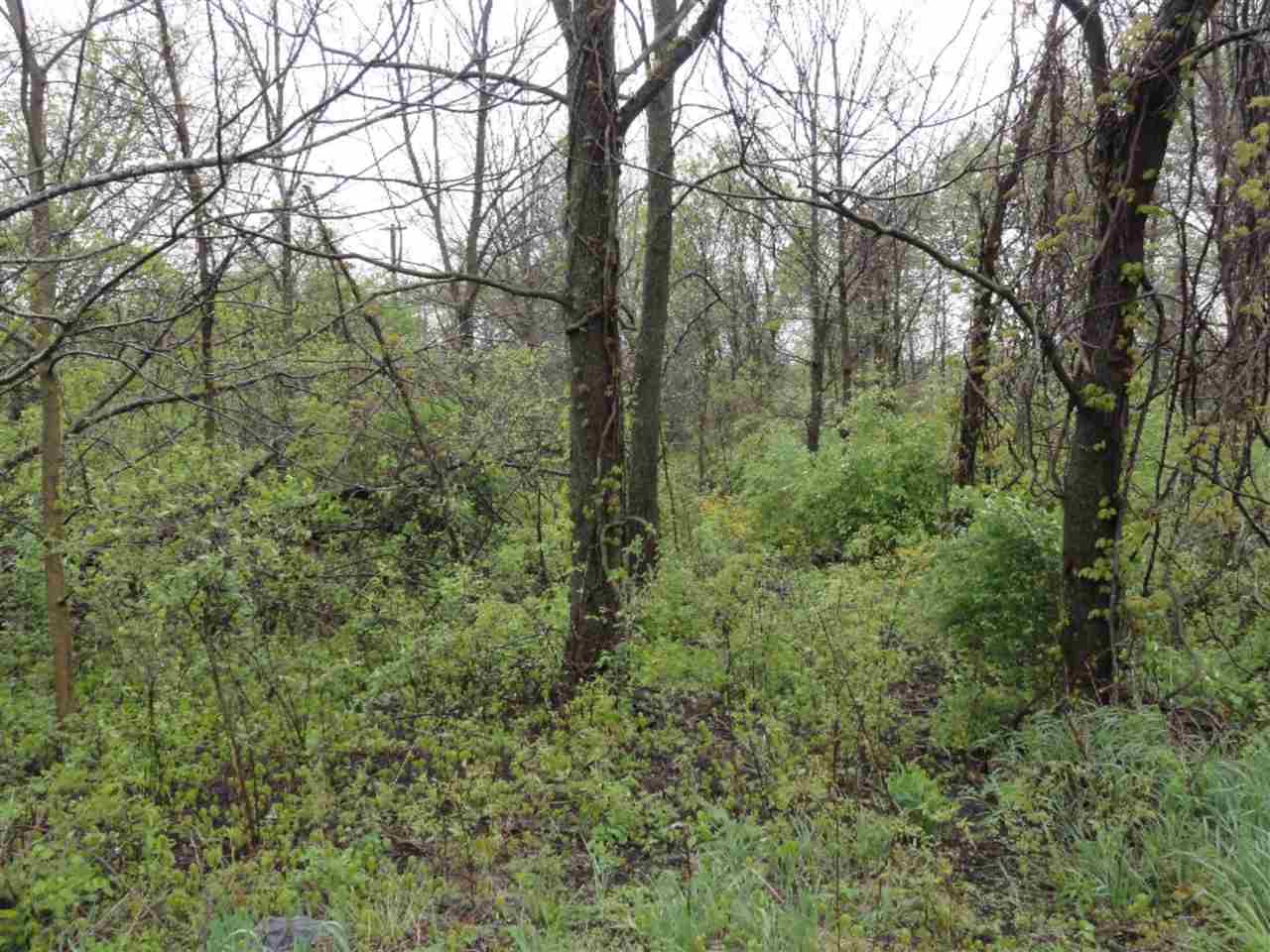 13 13 Mile Road Coldwater, MI 49036 - Photo 2 of 5