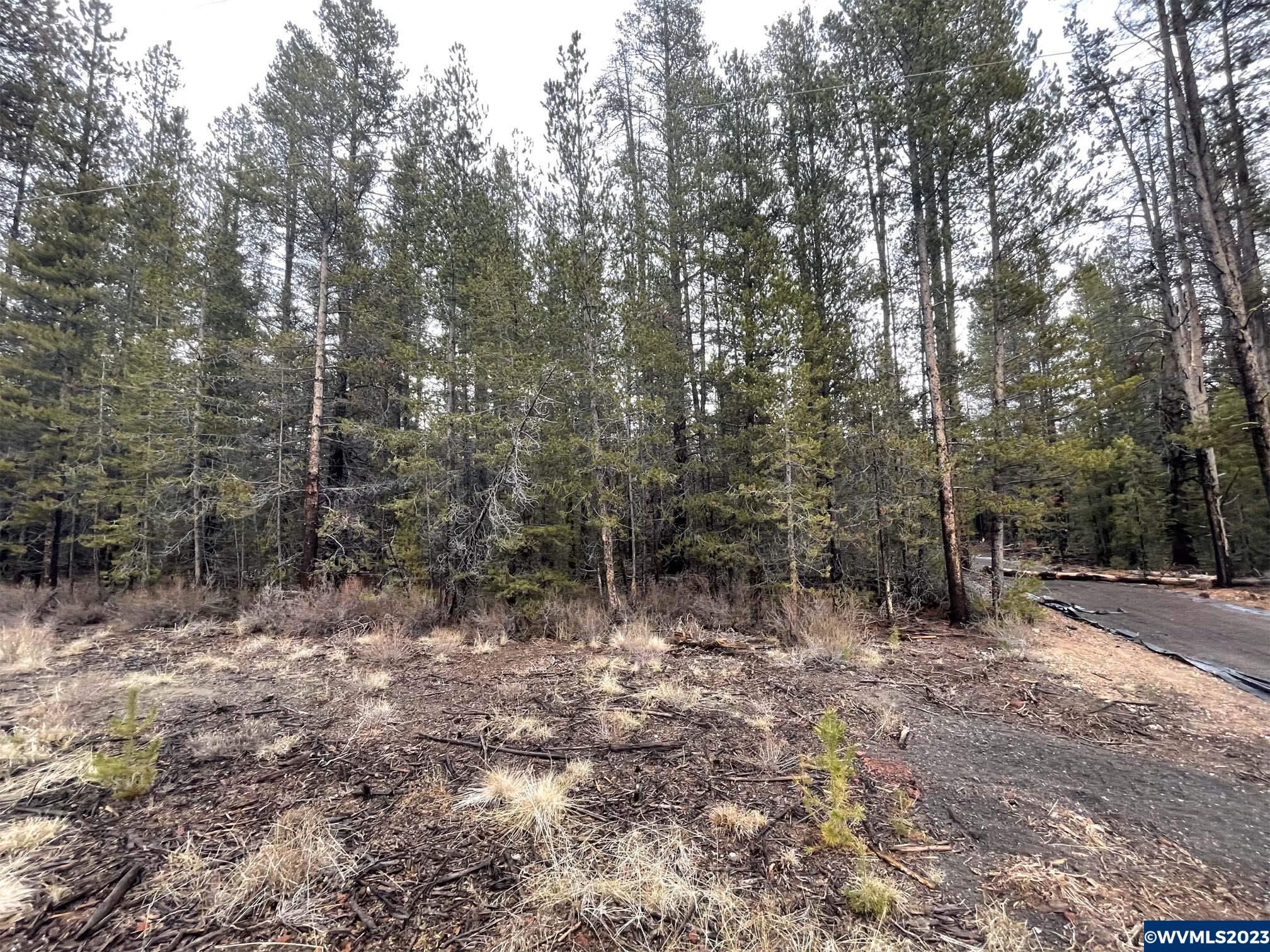500 Cloudcap Drive Chiloquin, OR 97624 - Photo 21 of 23