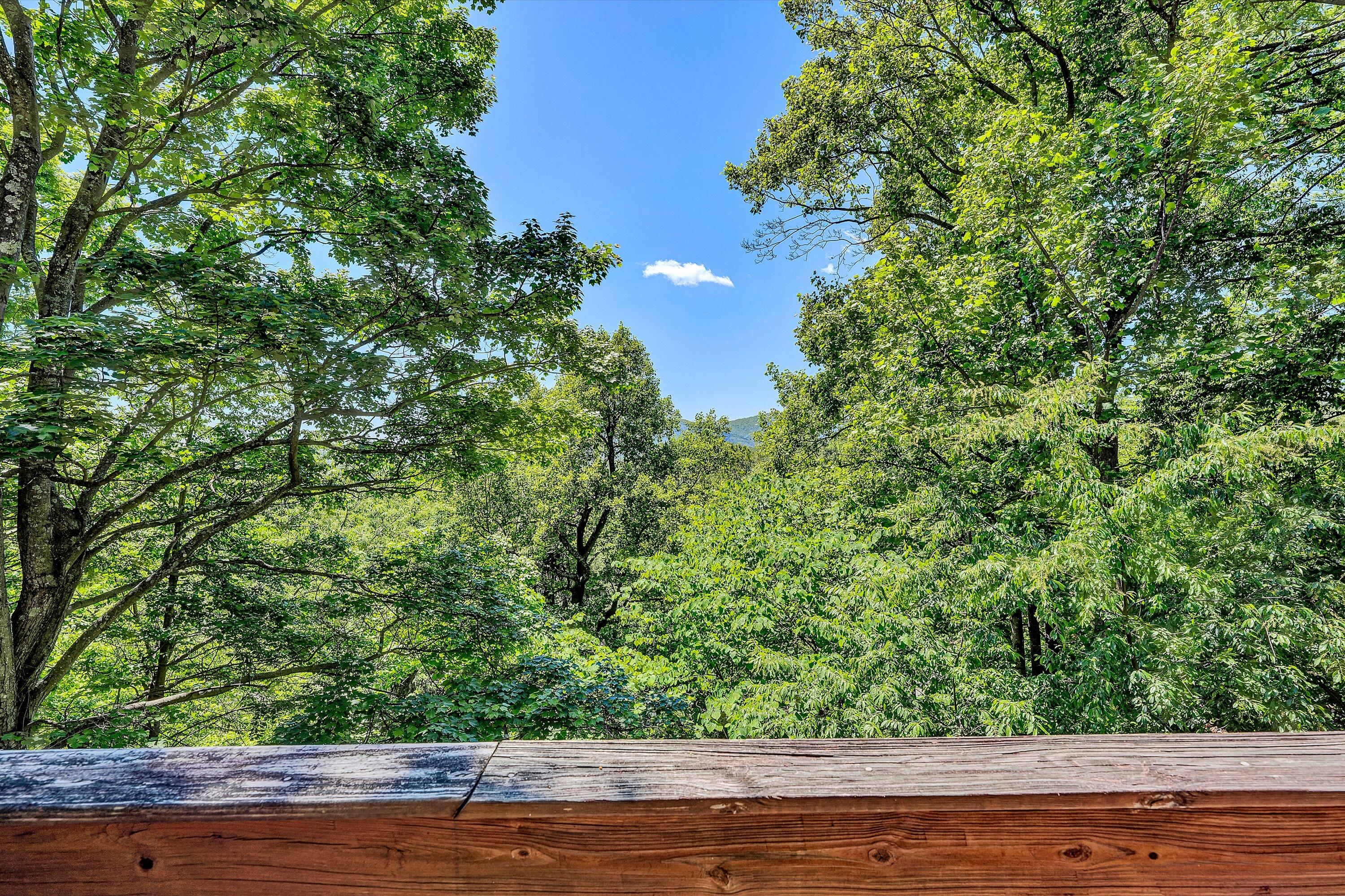 6275 Smokey Ridge Road Roanoke, VA 24018 - Photo 25 of 40 25-SGP-08338