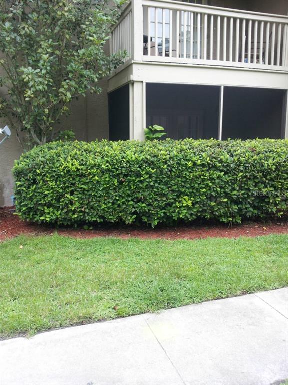 415 Wymore Road, Unit 102 Altamonte Springs, FL 32714 - Photo 1 of 1 a backyard of a house with lots of green space