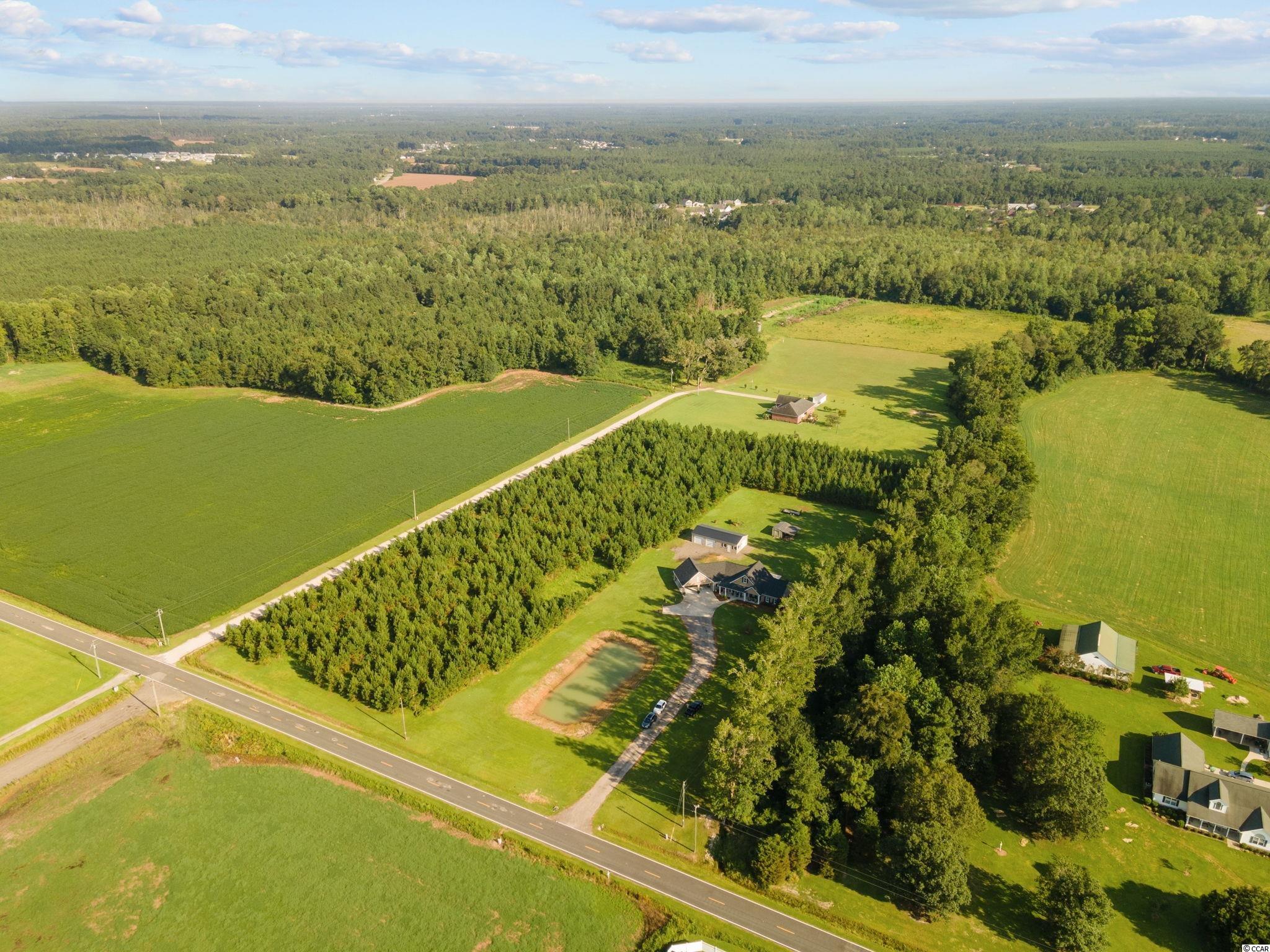 979 Brown Swamp Road Conway, SC 29527 - Photo 35 of 40 Gallery Image 35