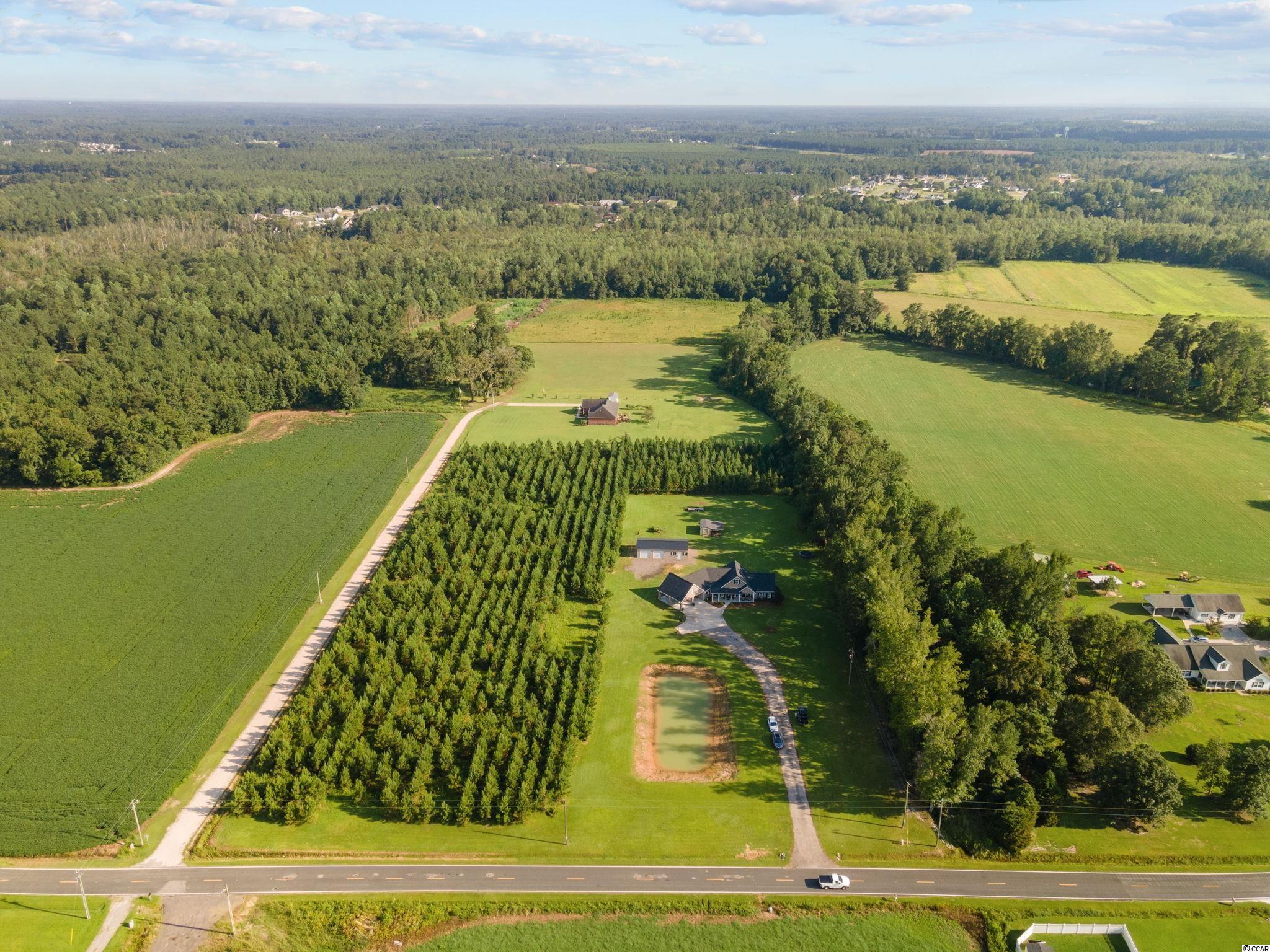 979 Brown Swamp Road Conway, SC 29527 - Photo 36 of 40 Gallery Image 36