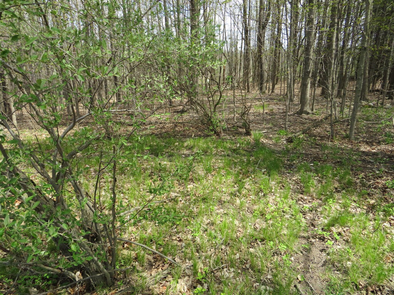 Peoples Road Blanchard, MI 49310 - Photo 3 of 26