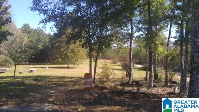 4208 Blue Cutt Road Pell City, AL 35128 - Photo 25 of 29