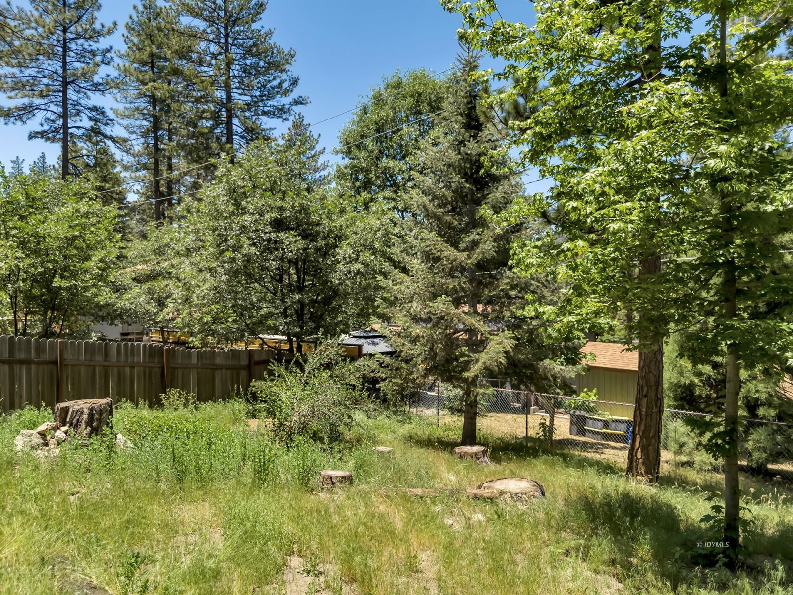 53560 Country Club Drive Idyllwild, CA 92549 - Photo 53 of 66 a backyard of a house with lots of green space