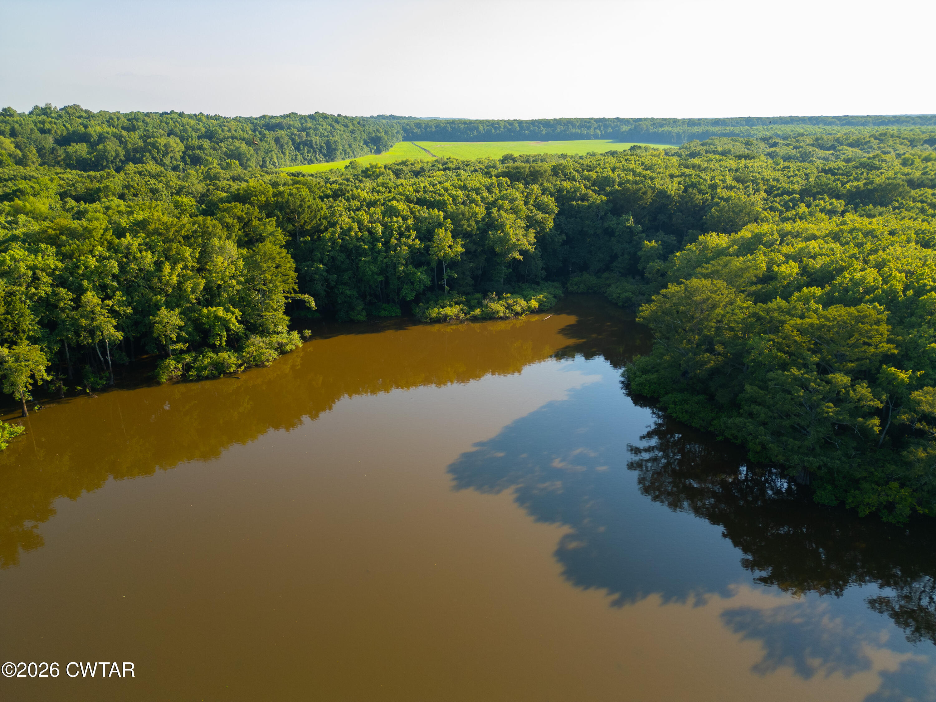 0 Chisholm Lake Road Ripley, TN 38063 - Photo 7 of 14 DJI_0013 copy